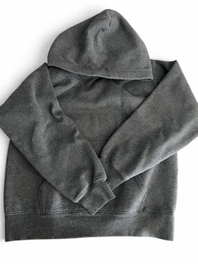 Aritzia Sweatshirt
